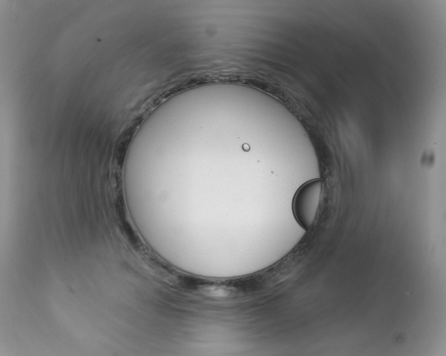 X0000112780654200908201415