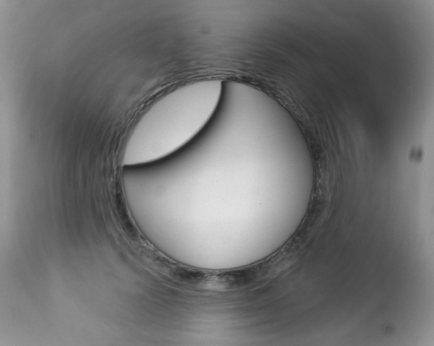 X0000112780656200908201415