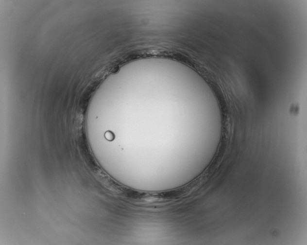 X0000112780657200908201415