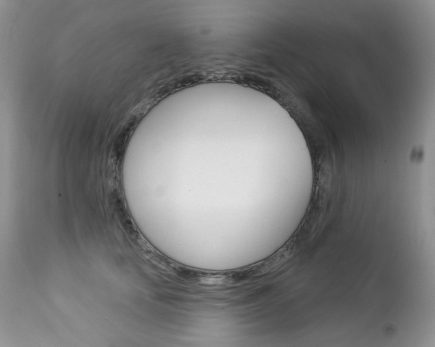 X0000112780659200908201415