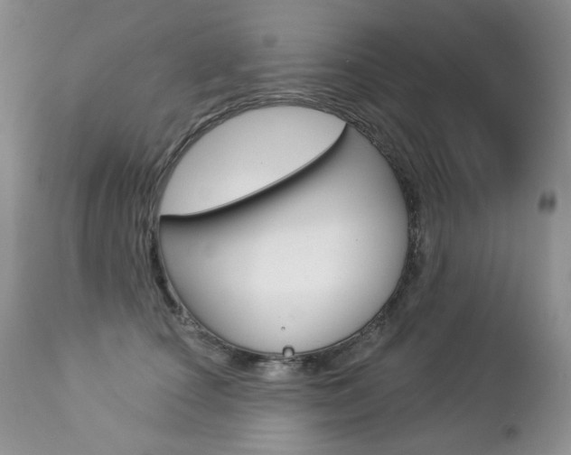 X0000112780660200908201415