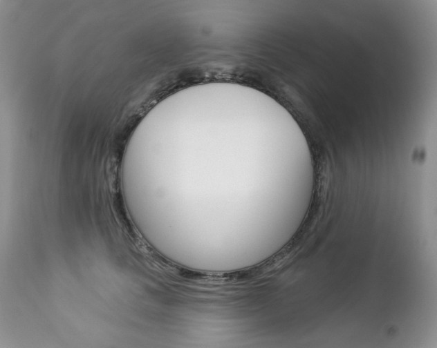 X0000112780661200908201415