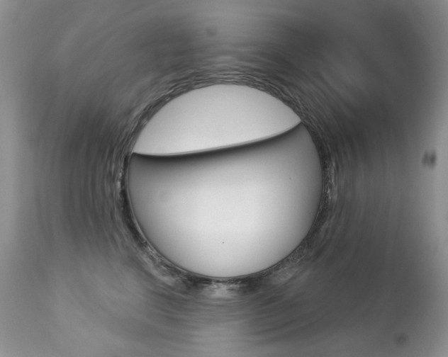 X0000112780664200908201415