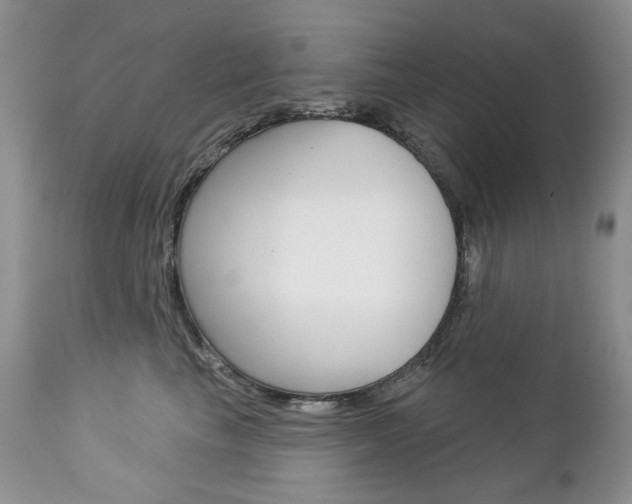 X0000112780665200908201415