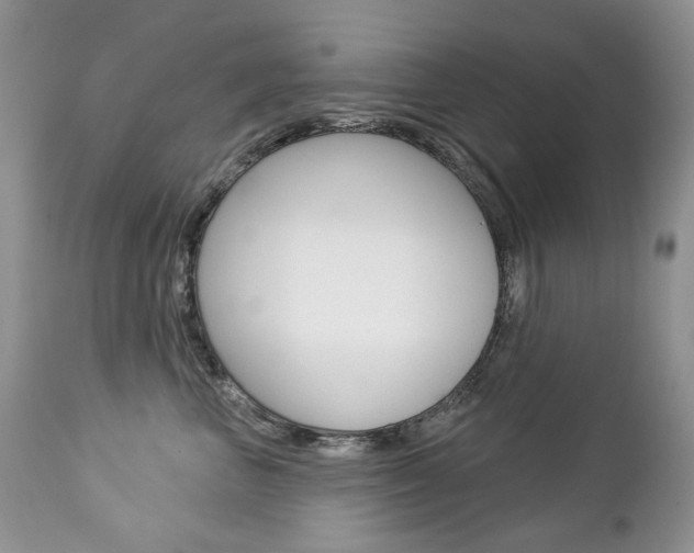 X0000112780667200908201415