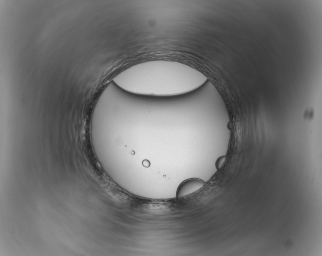 X0000112780668200908201415