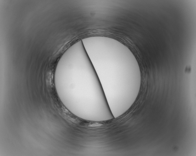 X0000112780669200908201415