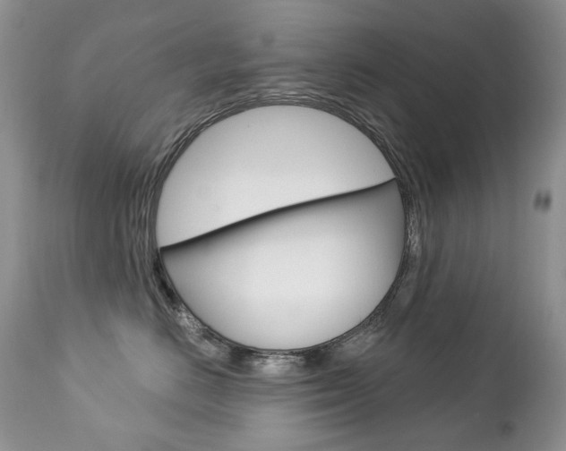 X0000112780670200908201415