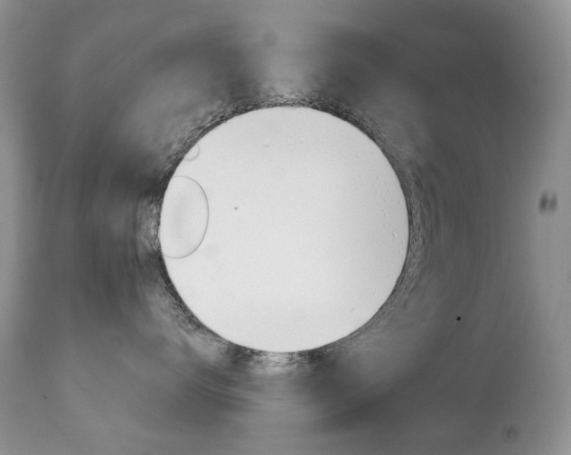 X0000112780672200908201415