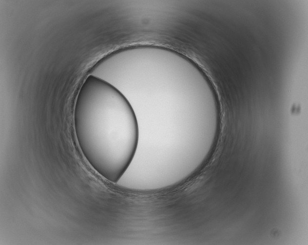 X0000112780673200908201414