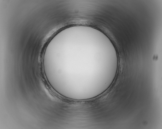 X0000112780674200908201414