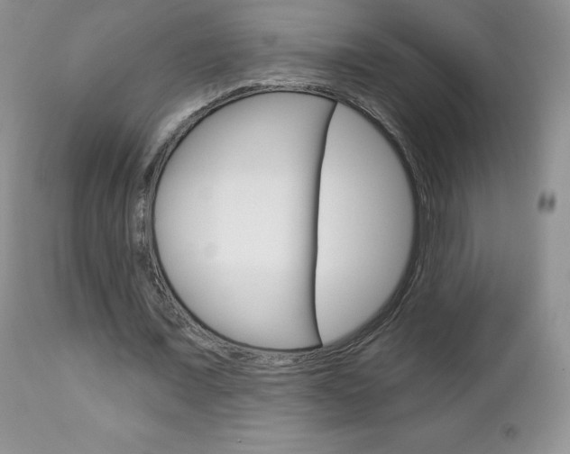X0000112780675200908201414