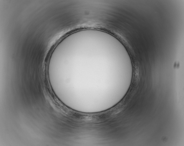 X0000112780678200908201414