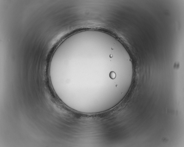 X0000112780679200908201414