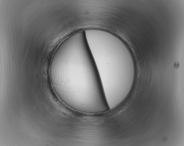 X0000112780681200908201414