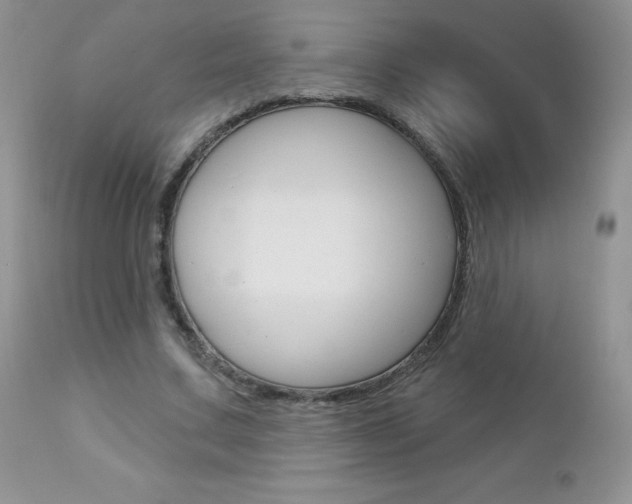 X0000112780683200908201414