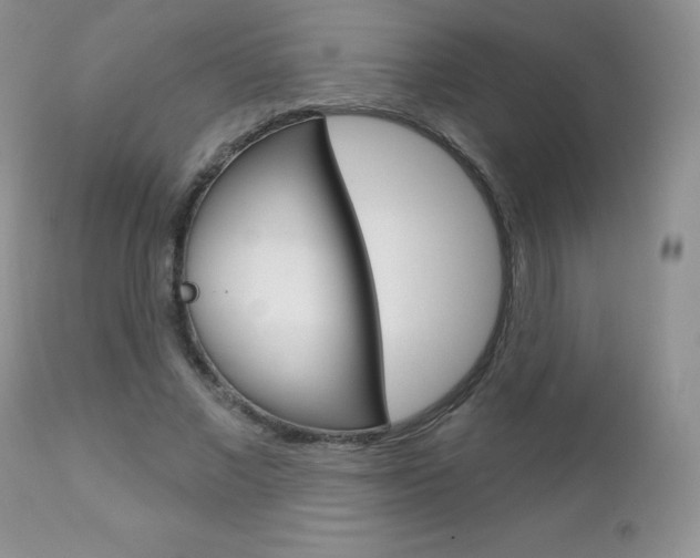 X0000112780685200908201414