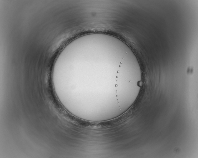 X0000112780687200908201414