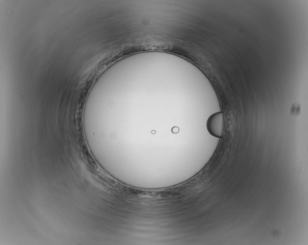 X0000112780690200908201414