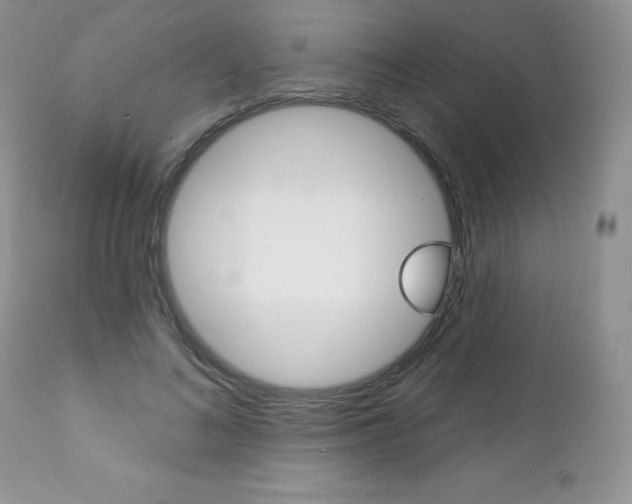 X0000112780692200908201414
