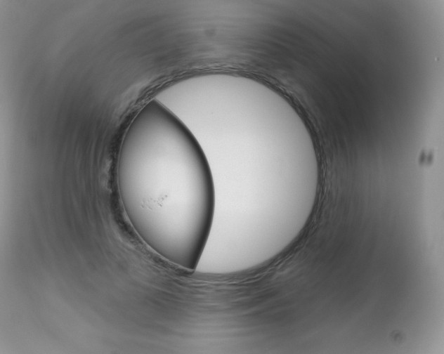 X0000112780693200908201414