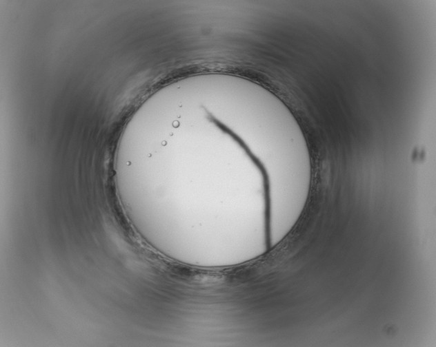X0000112780694200908201414