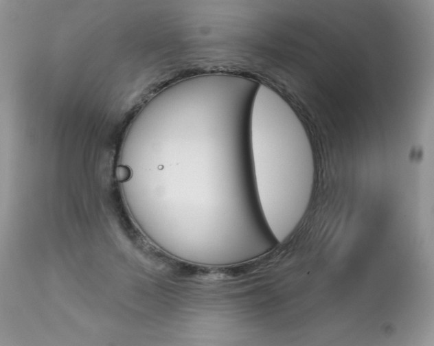 X0000112780695200908201414