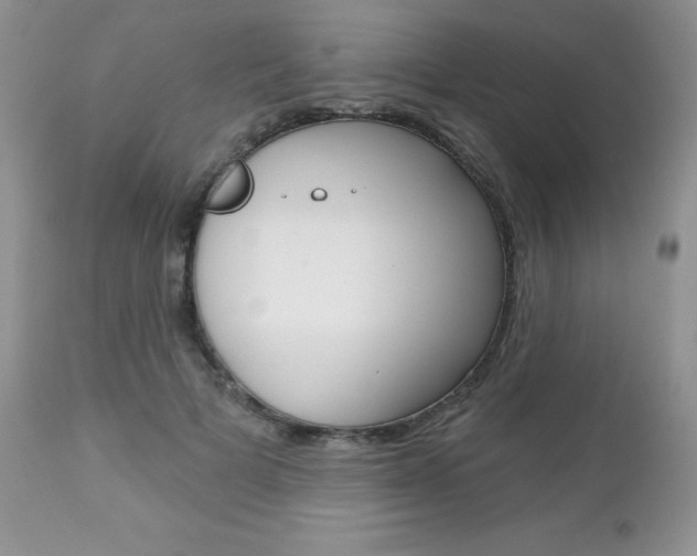 X0000112780697200908201414