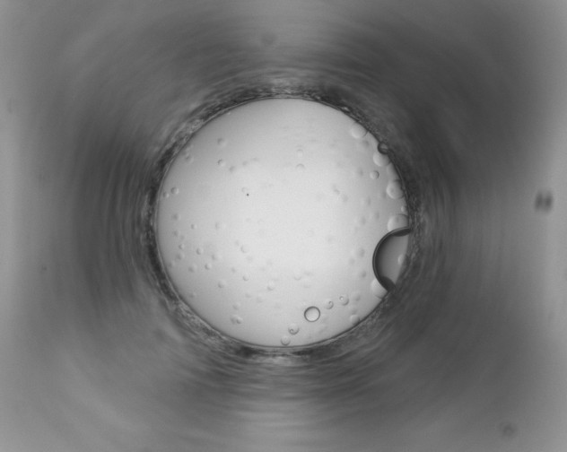 X0000112780698200908201414