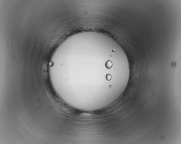 X0000112780699200908201414