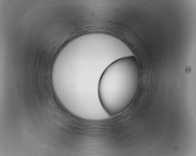 X0000112780700200908201414