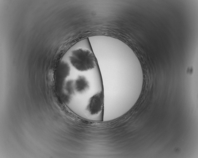 X0000112780711200908201414