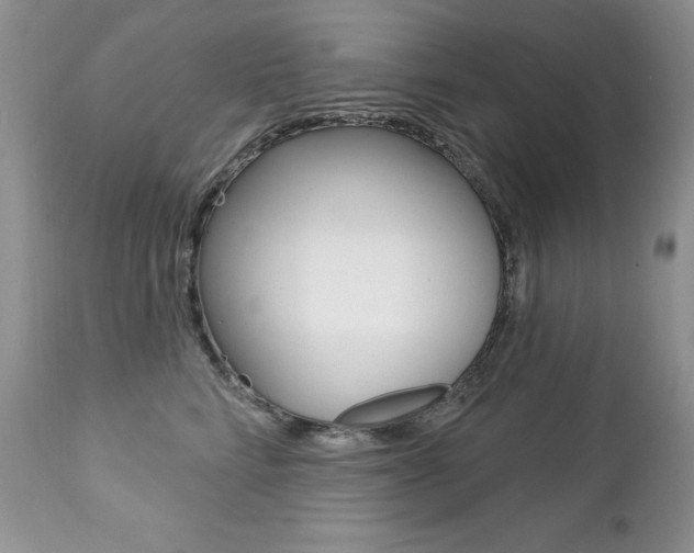 X0000112780712200908201414