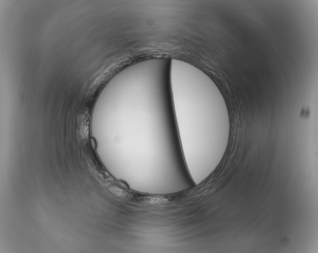 X0000112780719200908201414