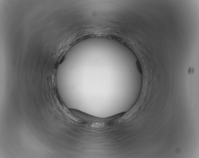 X0000112780720200908201414