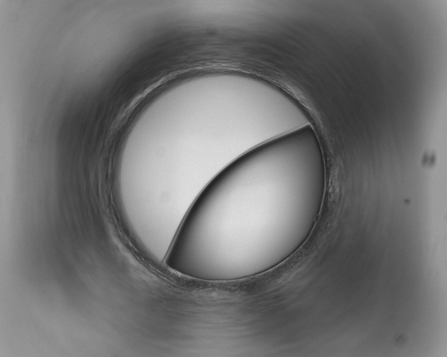 X0000112780722200908201413