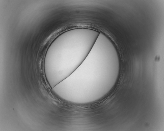 X0000112780723200908201413