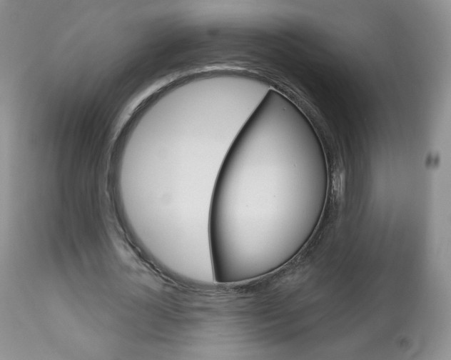 X0000112780724200908201413