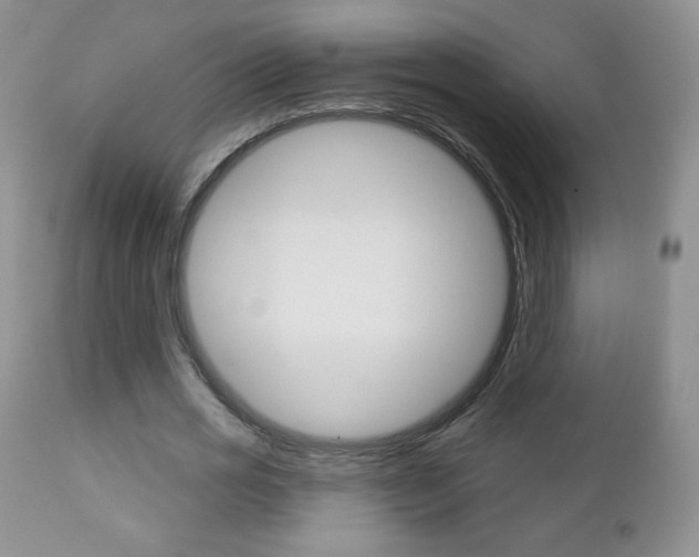 X0000112780725200908201413