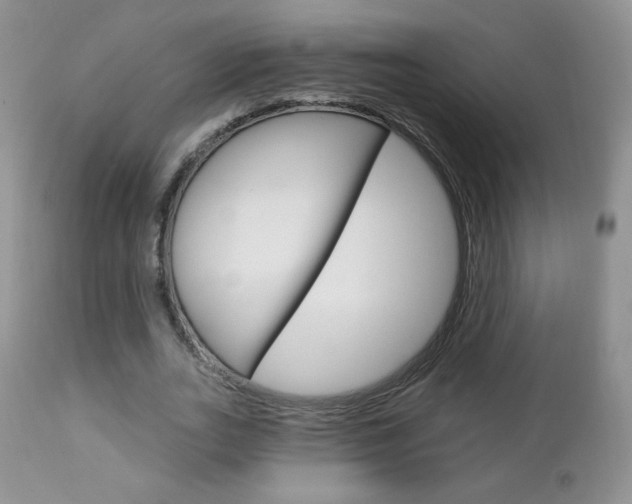 X0000112780727200908201413