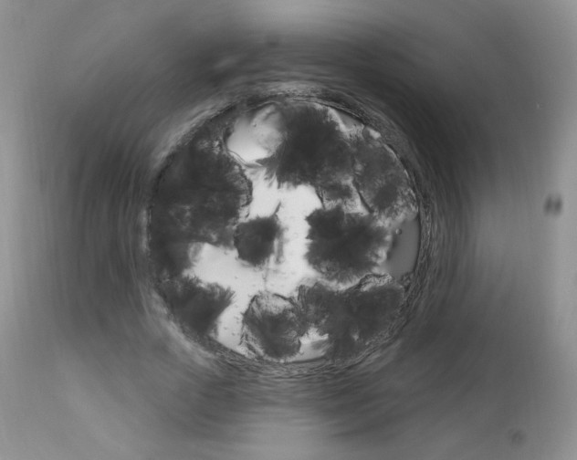 X0000112780729200908201413
