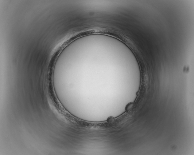 X0000112780730200908201413