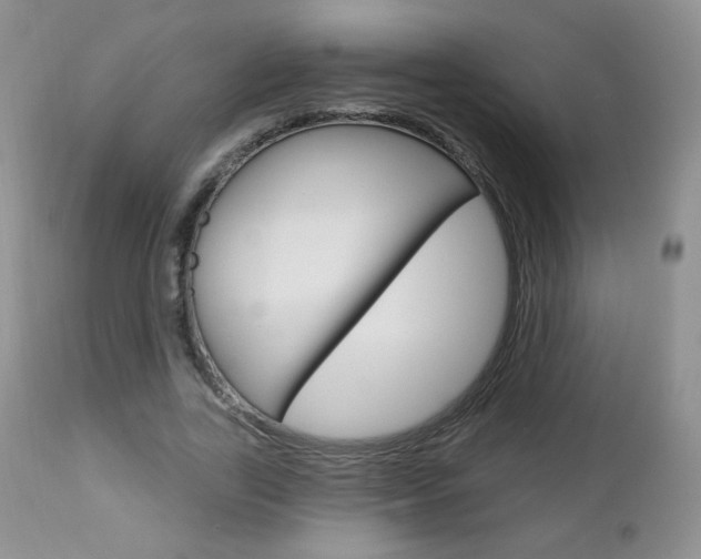X0000112780731200908201413