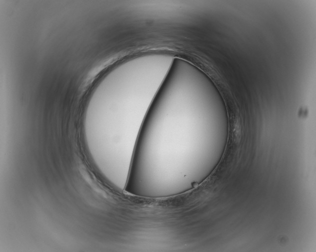 X0000112780732200908201413
