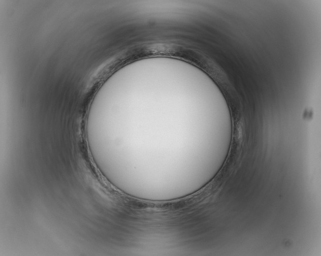 X0000112780733200908201413