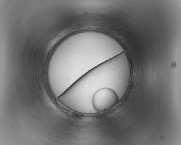 X0000112780734200908201413