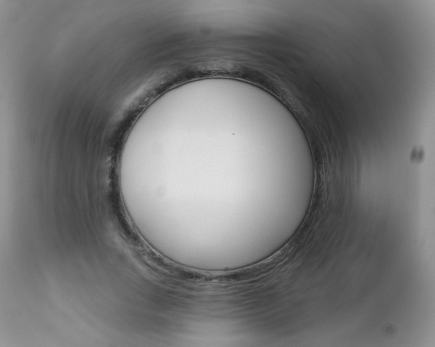 X0000112780735200908201413
