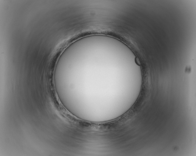 X0000112780736200908201413