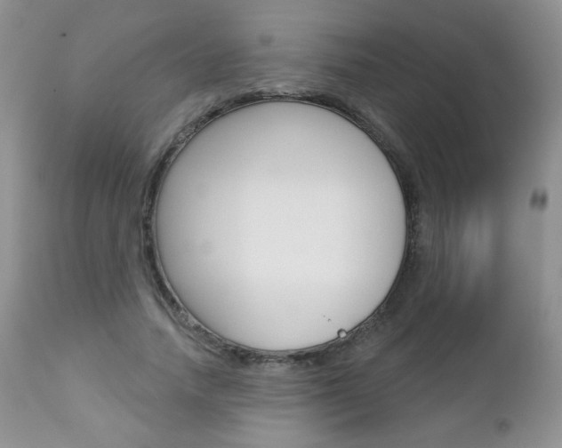 X0000112780738200908201413