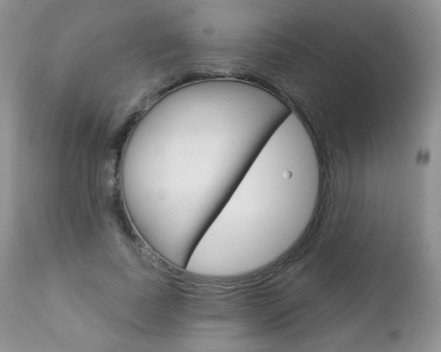 X0000112780739200908201413